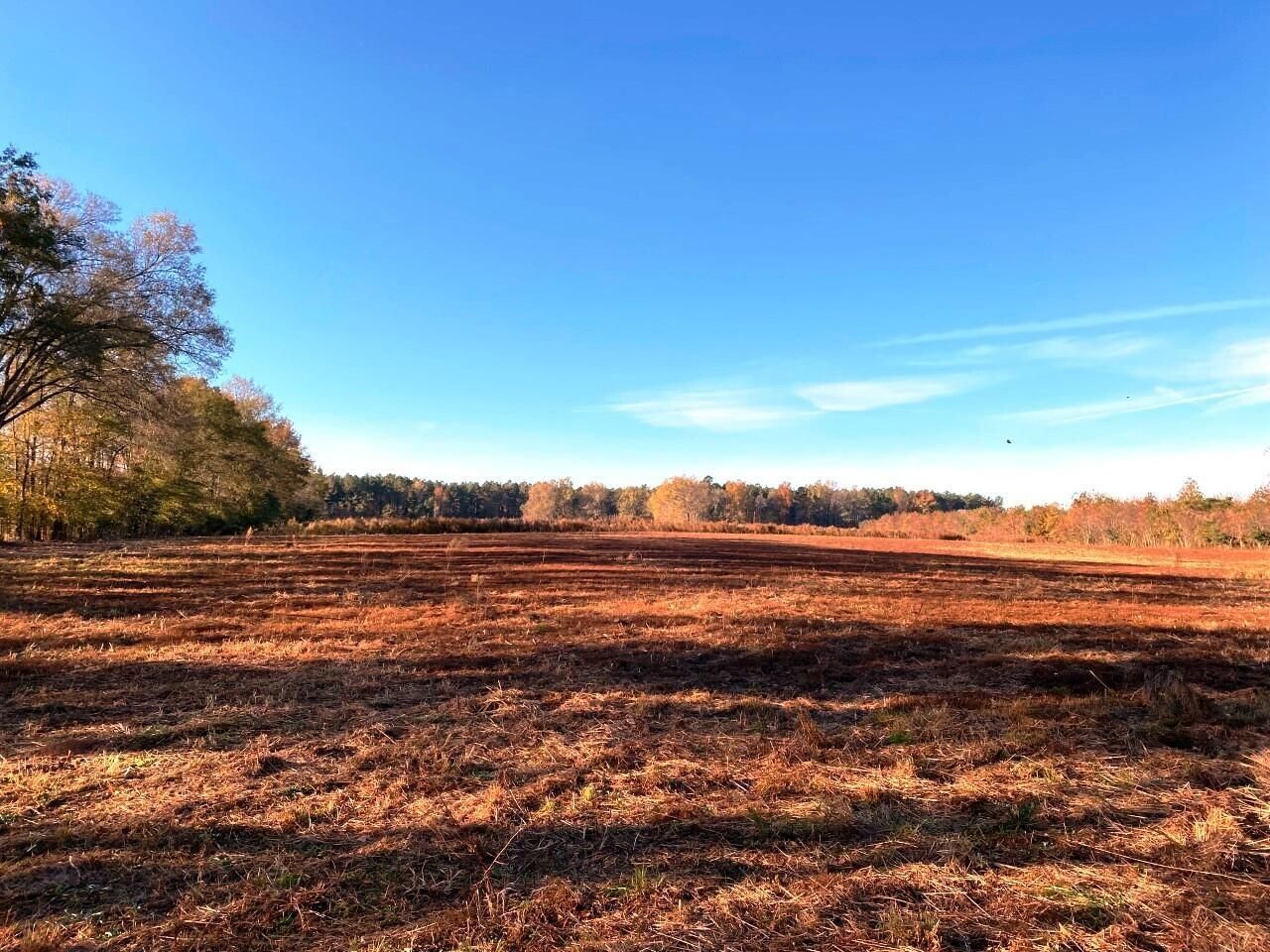 5306 State Road Photo 14