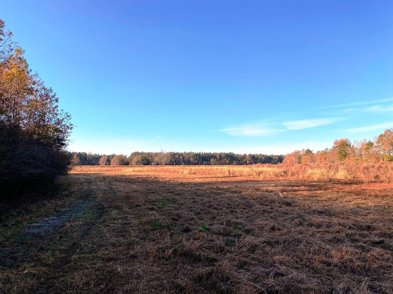 5306 State Road Photo 15