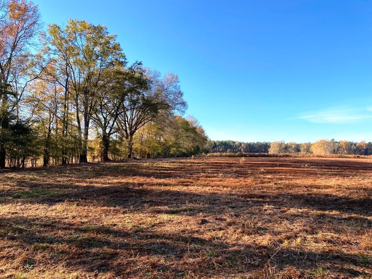 5306 State Road Photo 16