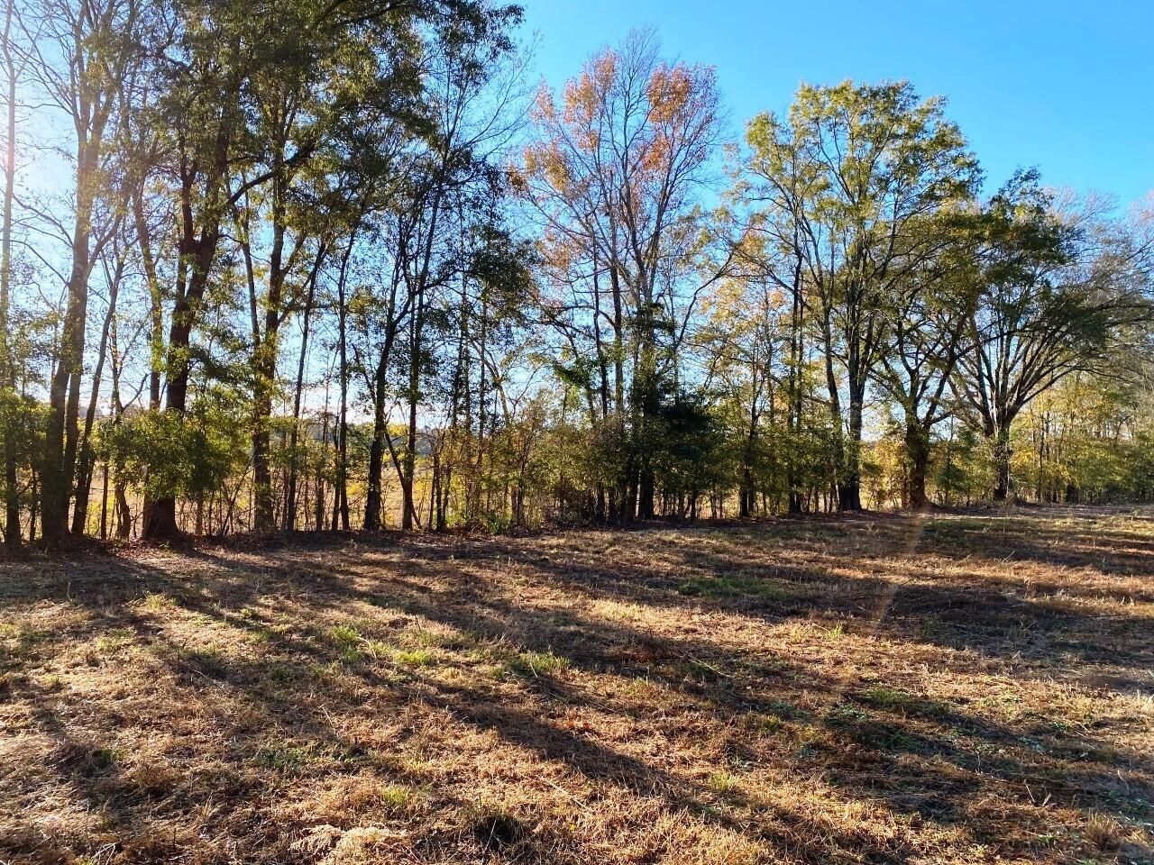 5306 State Road Photo 17