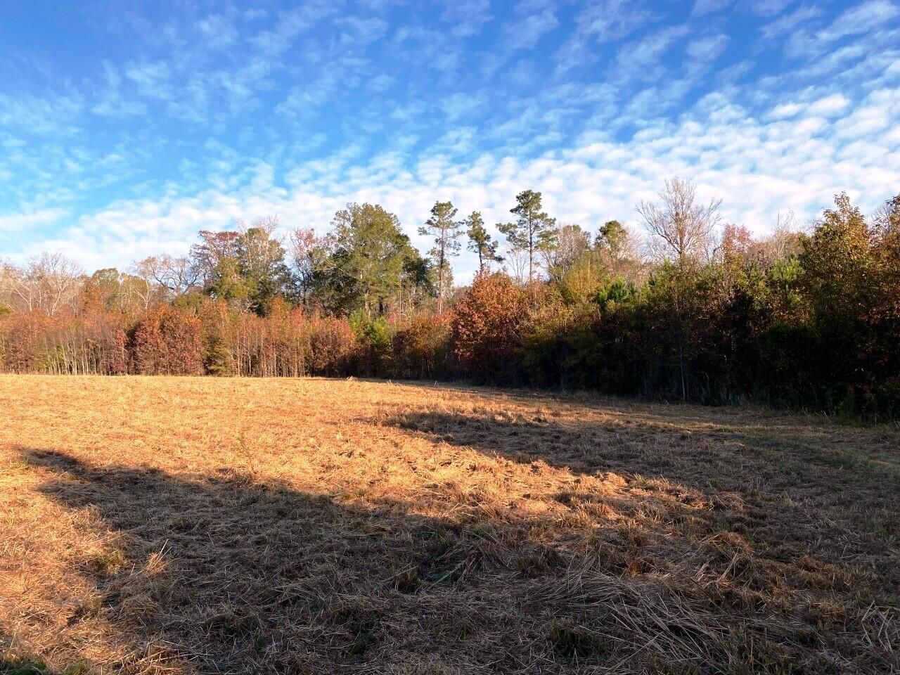 5306 State Road Photo 18