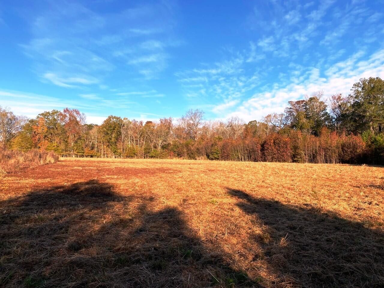 5306 State Road Photo 2