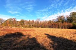 5306 State Road photo 4