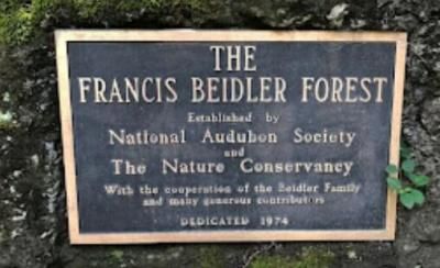 5306 State Road Photo 27