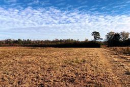 5306 State Road photo 4