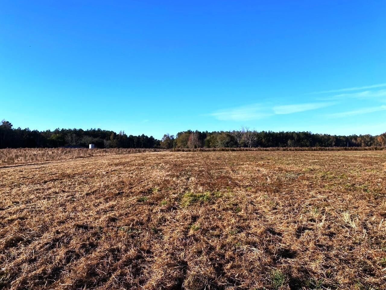 5306 State Road Photo 4