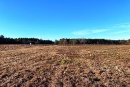 5306 State Road photo 4