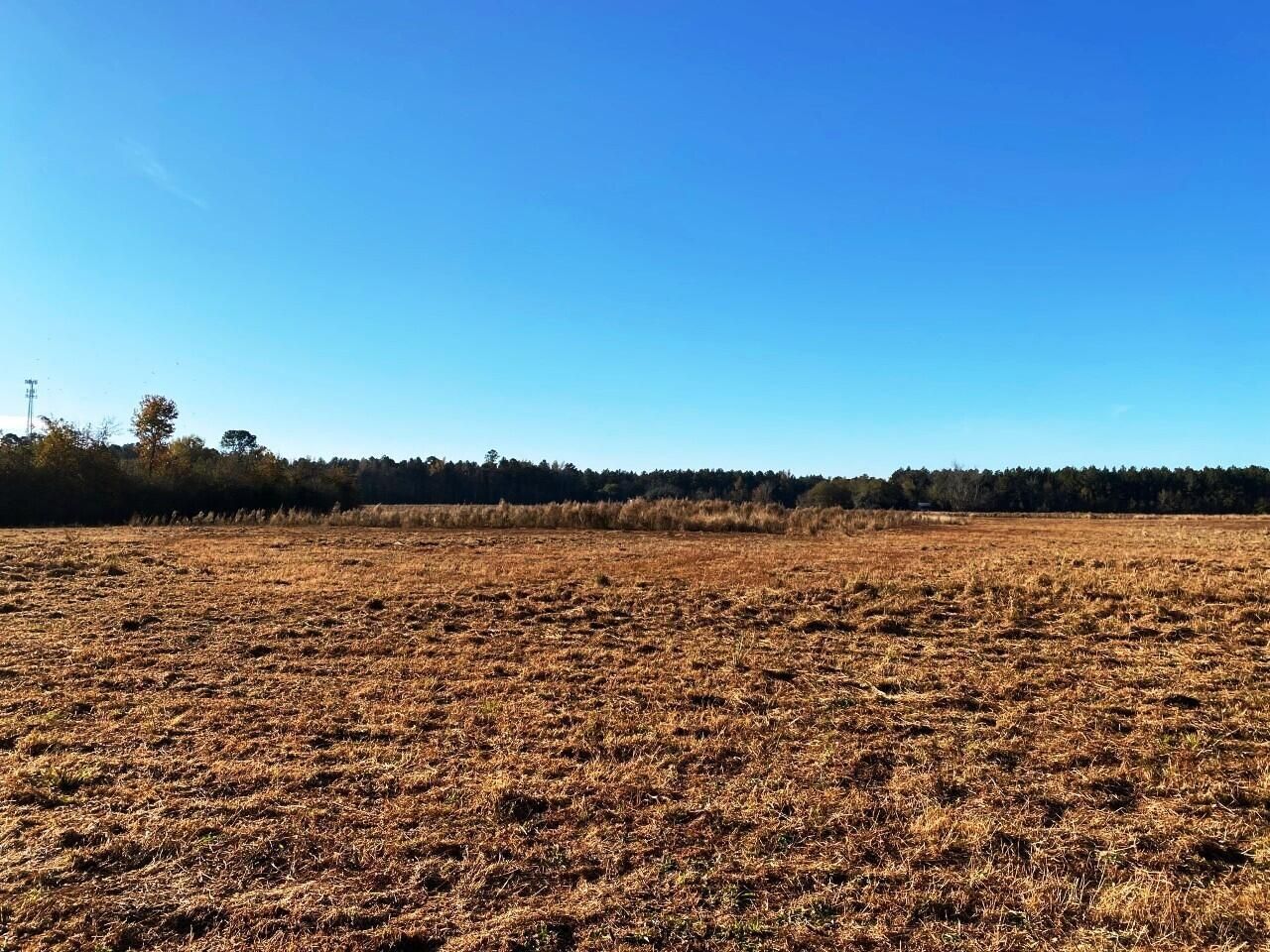 5306 State Road Photo 5