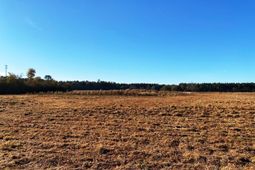 5306 State Road photo 4