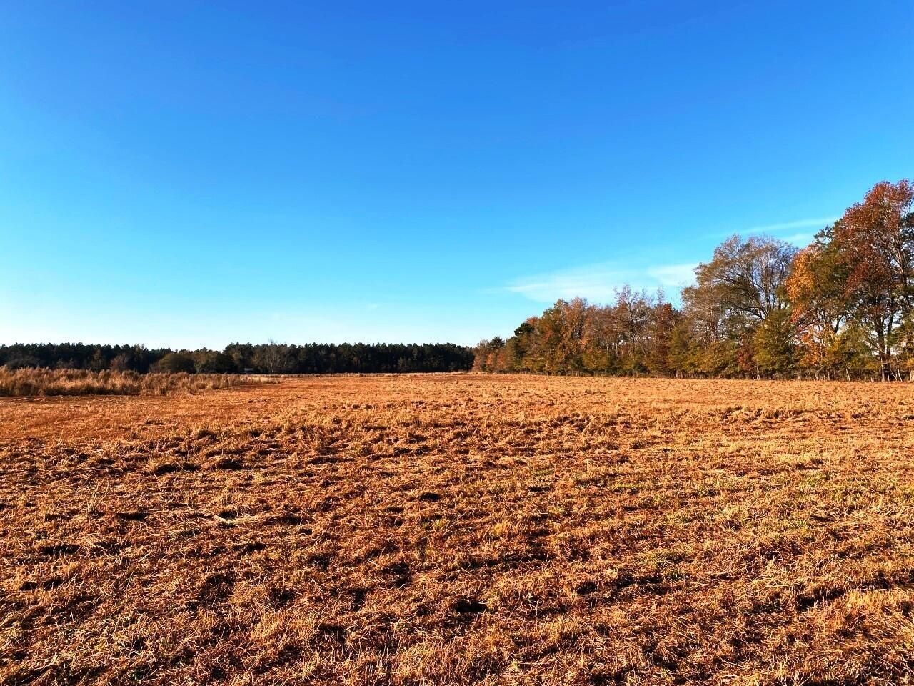 5306 State Road Photo 6