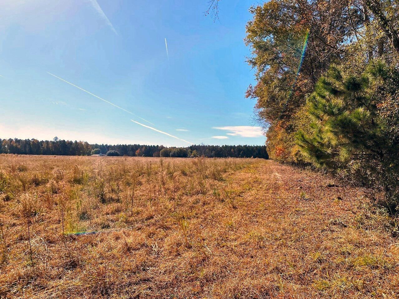 5306 State Road Photo 9