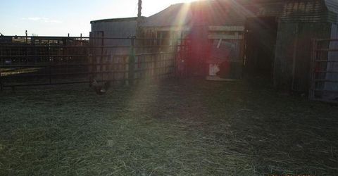 790 N Hwy Us 95, McDermitt, NV 89421 Photo