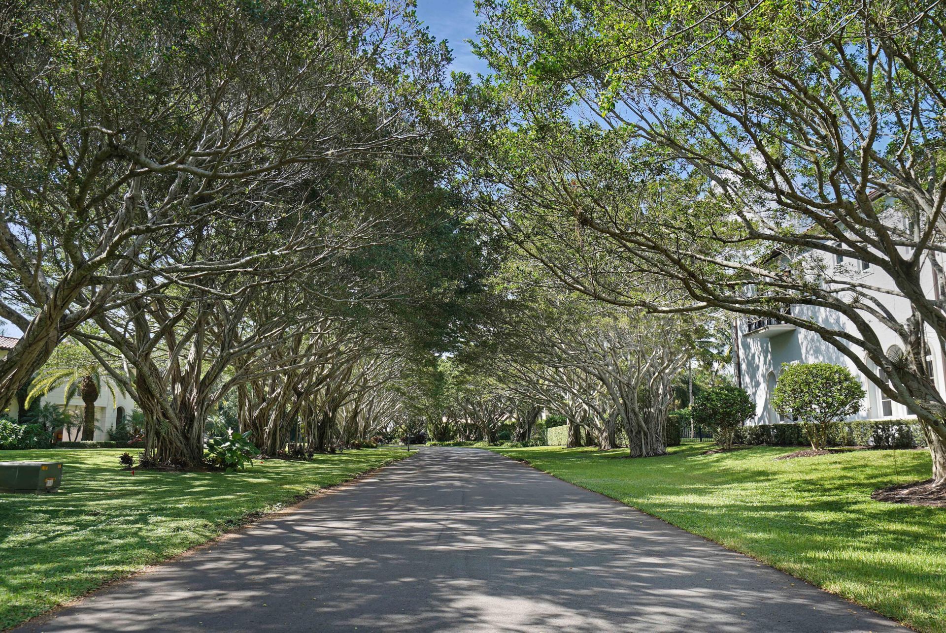 18161 Daybreak Drive, Boca Raton, FL 33496 Photo