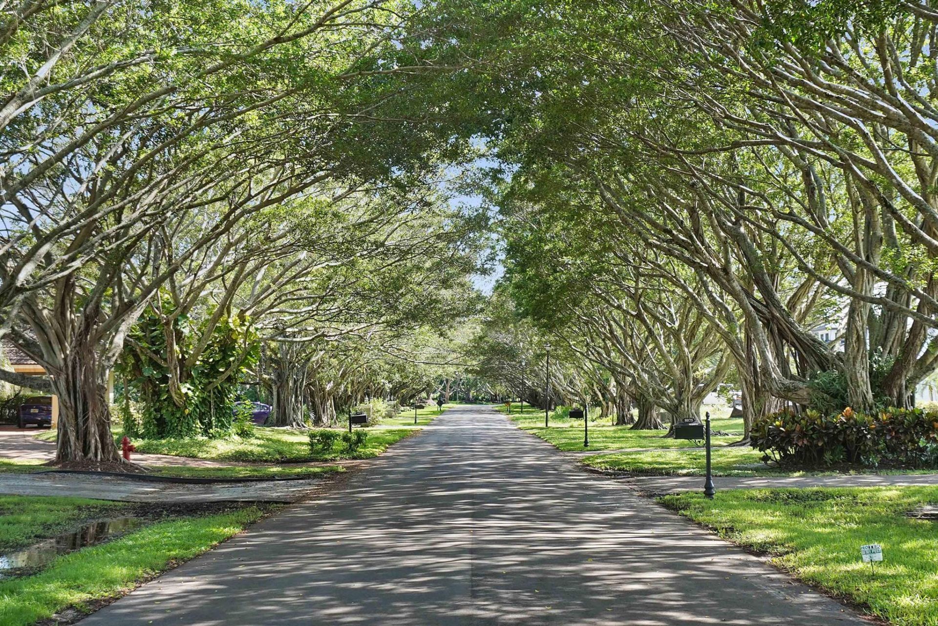 18161 Daybreak Drive, Boca Raton, FL 33496 Photo