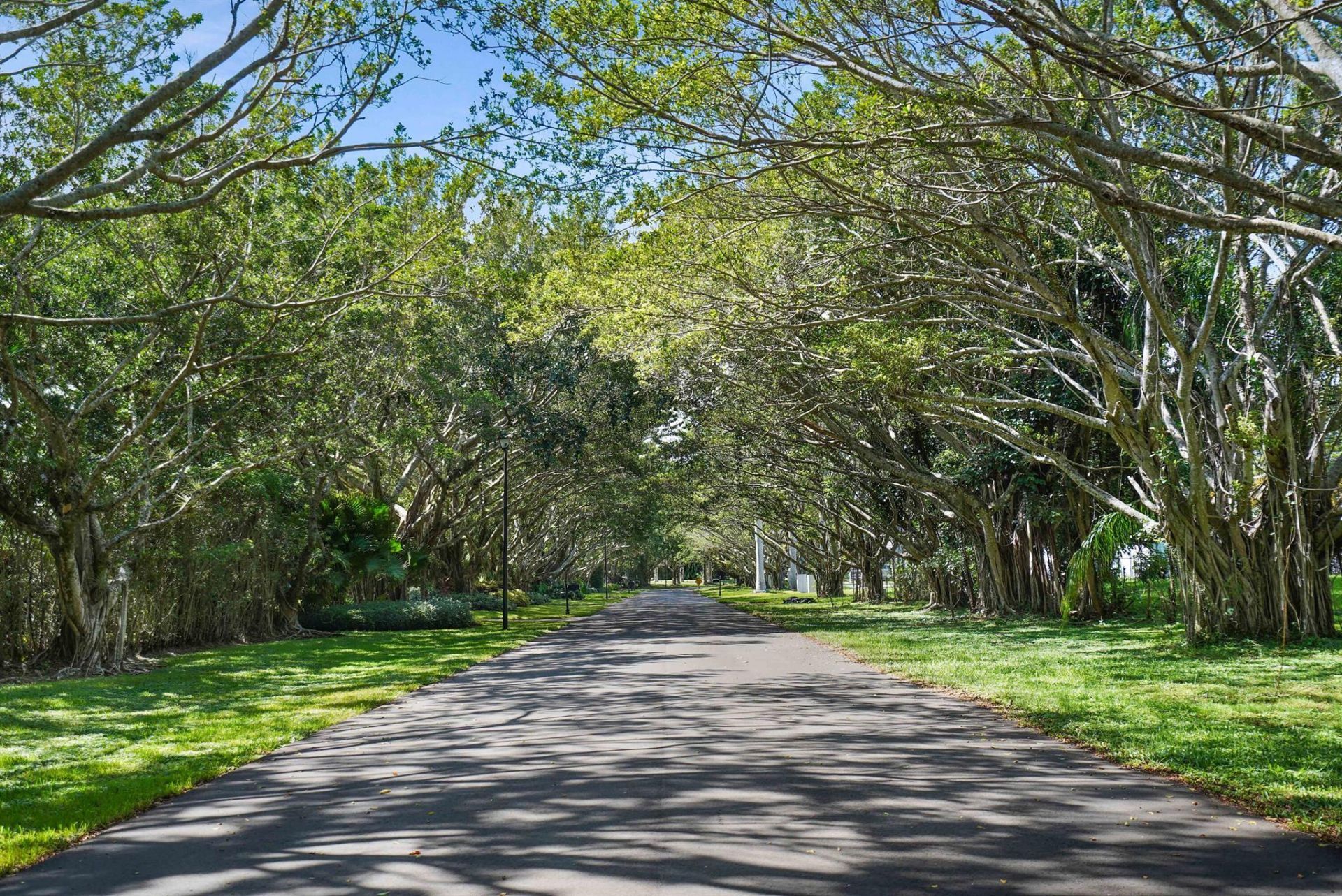 18161 Daybreak Drive, Boca Raton, FL 33496 Photo