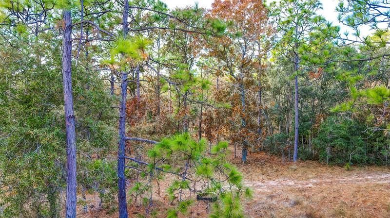 0 Commercial Way, Brooksville, FL 34614 Photo