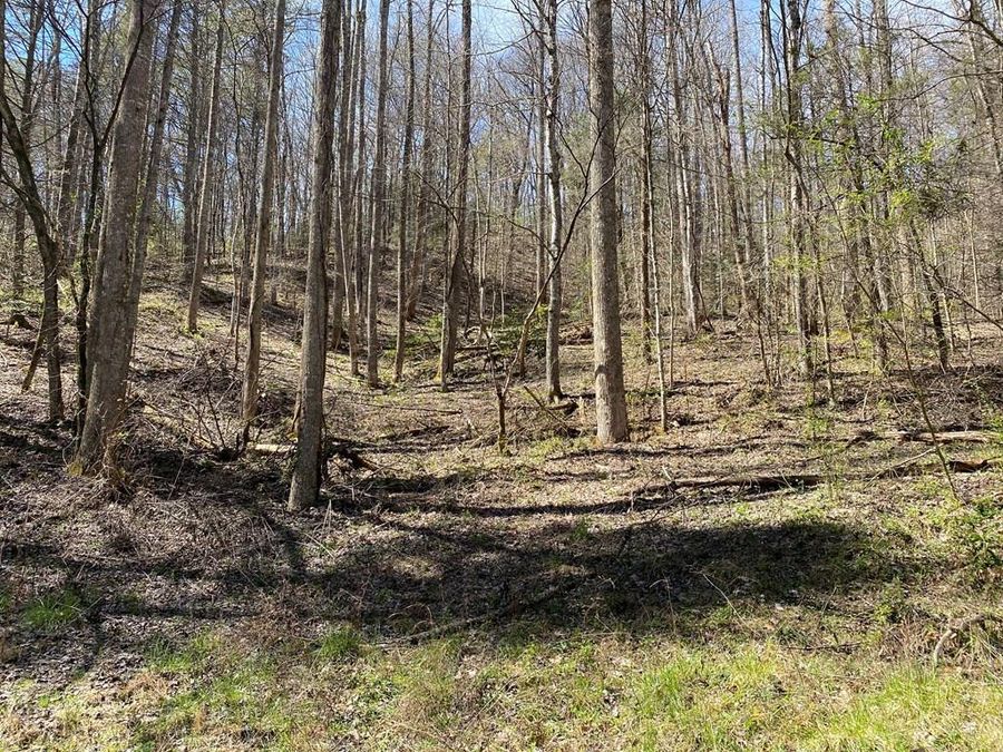 Property Image 10