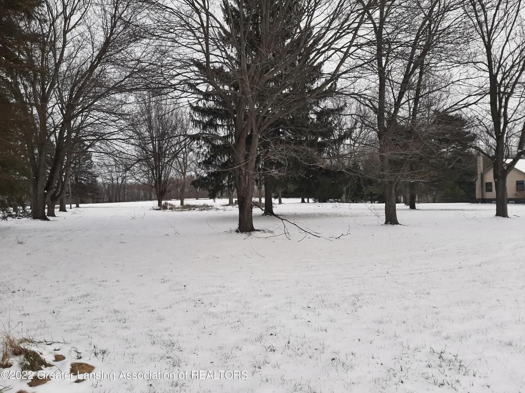 0 M-52, Perry, MI 48872 Main Photo