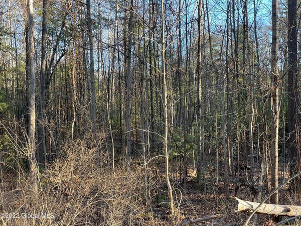 110 Middle Road, Unit Lot 2, Lake George, NY 12845