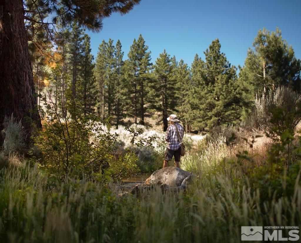 3531 Knob Point Trail, Lot #86, Carson City, NV 89705 Photo