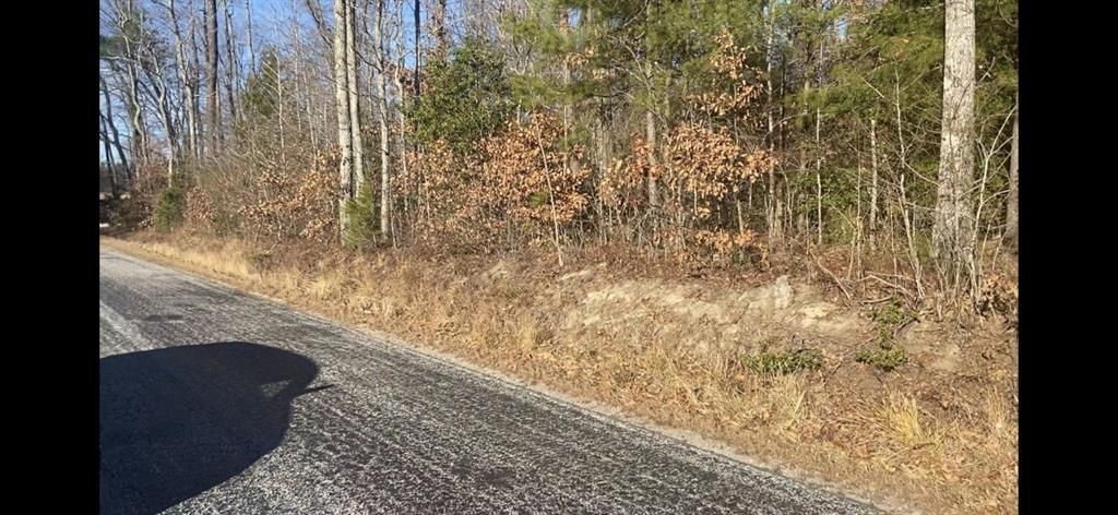 Tbd Bestland Road, Essex, VA 22454 Main Photo