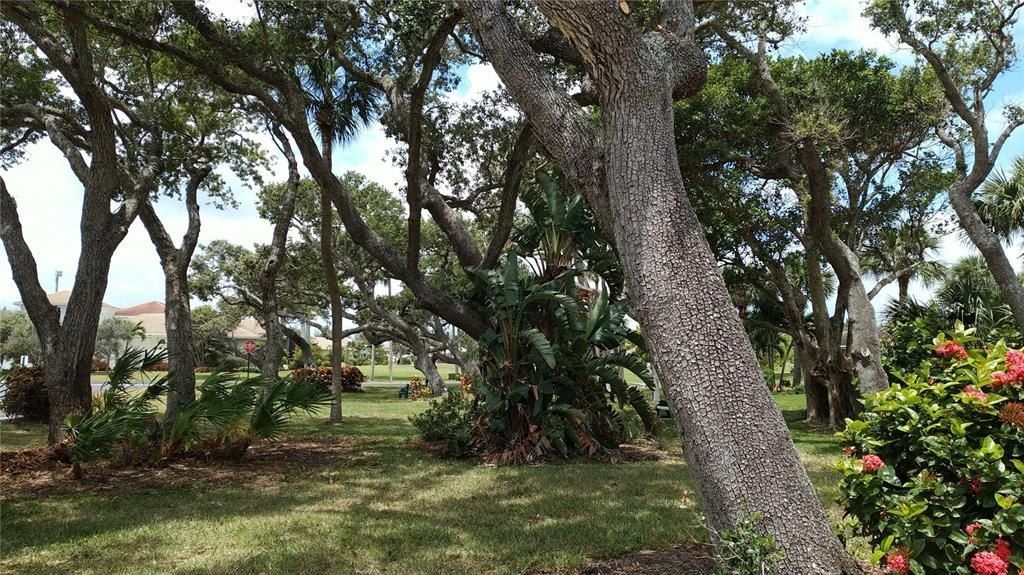 2400 S Ocean Drive, Unit 5331, Fort Pierce, FL 34949 Photo