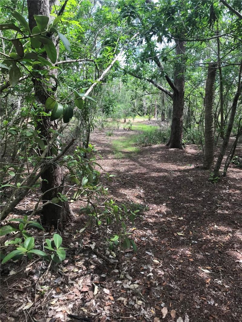 1250 Beach Road, Englewood, FL 34223 Photo