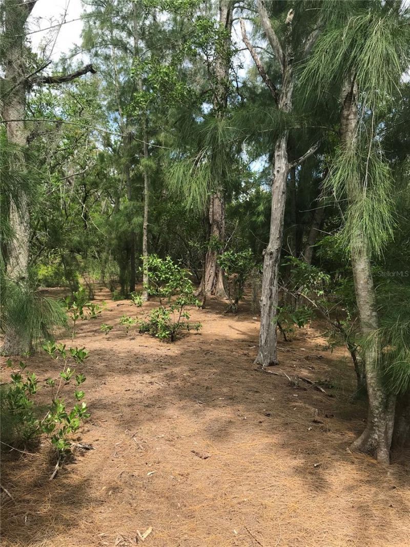 1250 Beach Road, Englewood, FL 34223 Photo