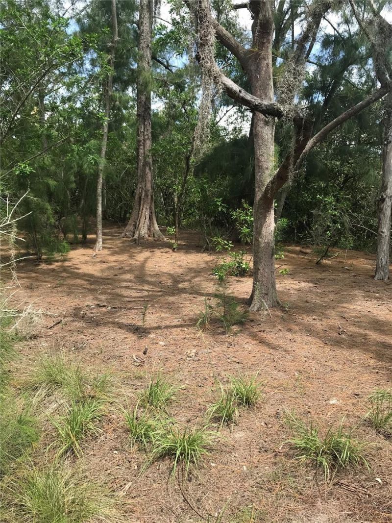 1250 Beach Road, Englewood, FL 34223 Photo