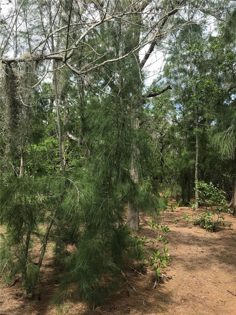 1250 Beach Road, Englewood, FL 34223 Photo