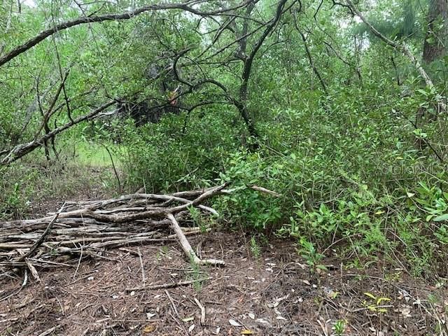 1250 Beach Road, Englewood, FL 34223 Photo