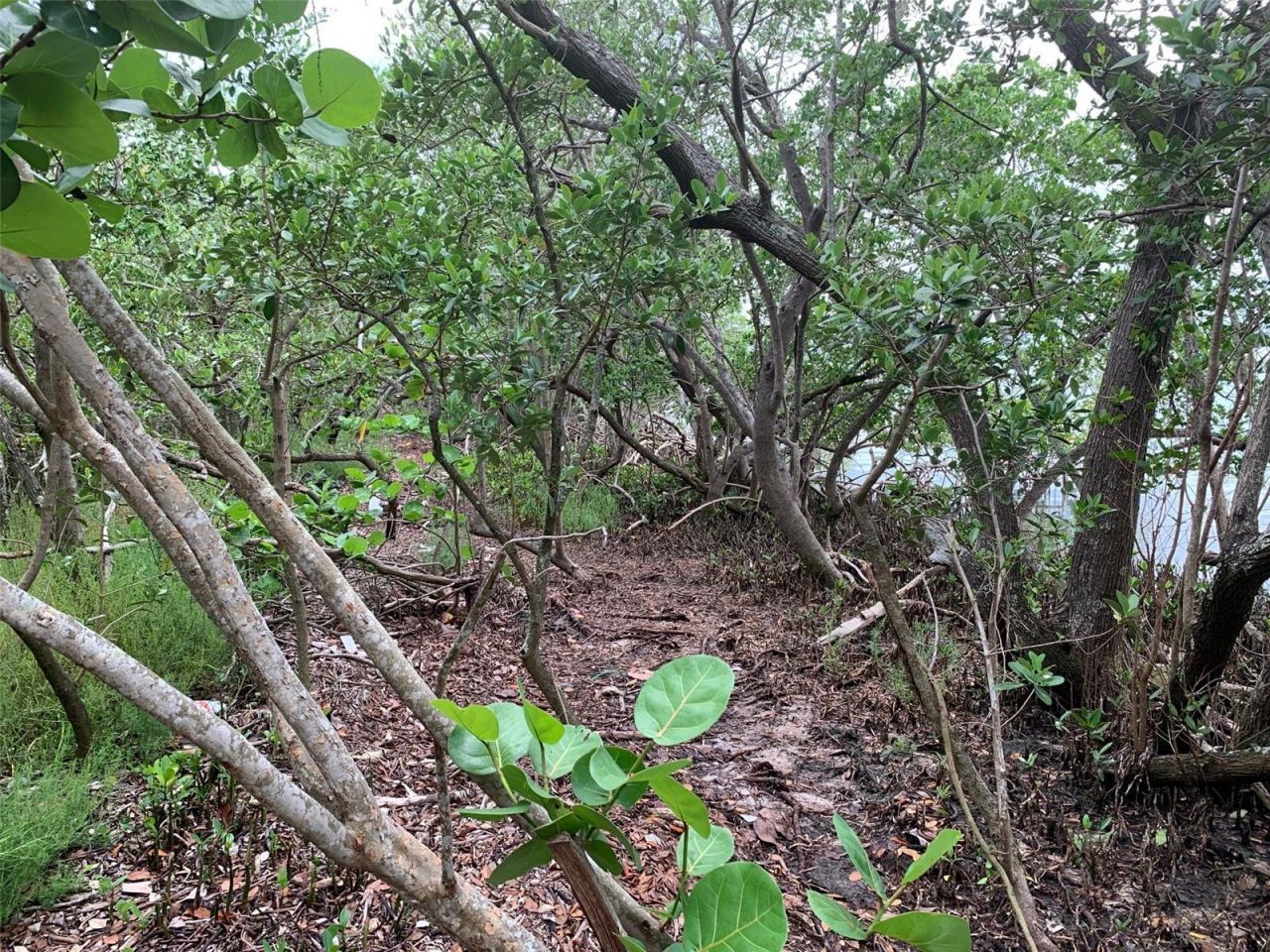 1250 Beach Road, Englewood, FL 34223 Photo