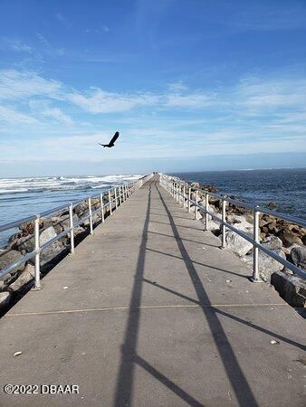 4572 S Peninsula Drive, Ponce Inlet, FL 32127 Photo