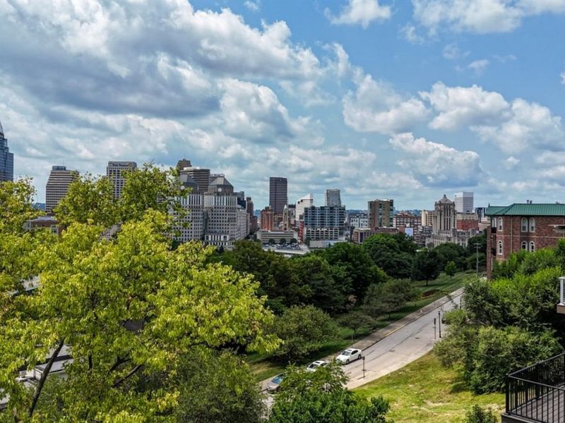 325 Oregon Street, Unit 10, Cincinnati, OH 45202 Photo 14