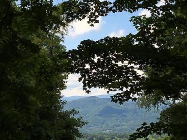 TBD McGuires Ridge, Waynesville, NC 28786