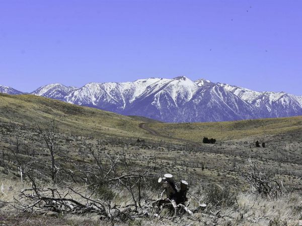 TBD parcels at Pine Nut Creek area, Gardnerville, NV 89410