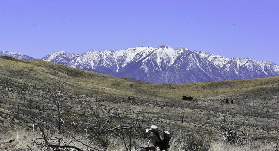 Tbd Parcels At Pine Nut Creek Area, Gardnerville, NV 89410 Photo