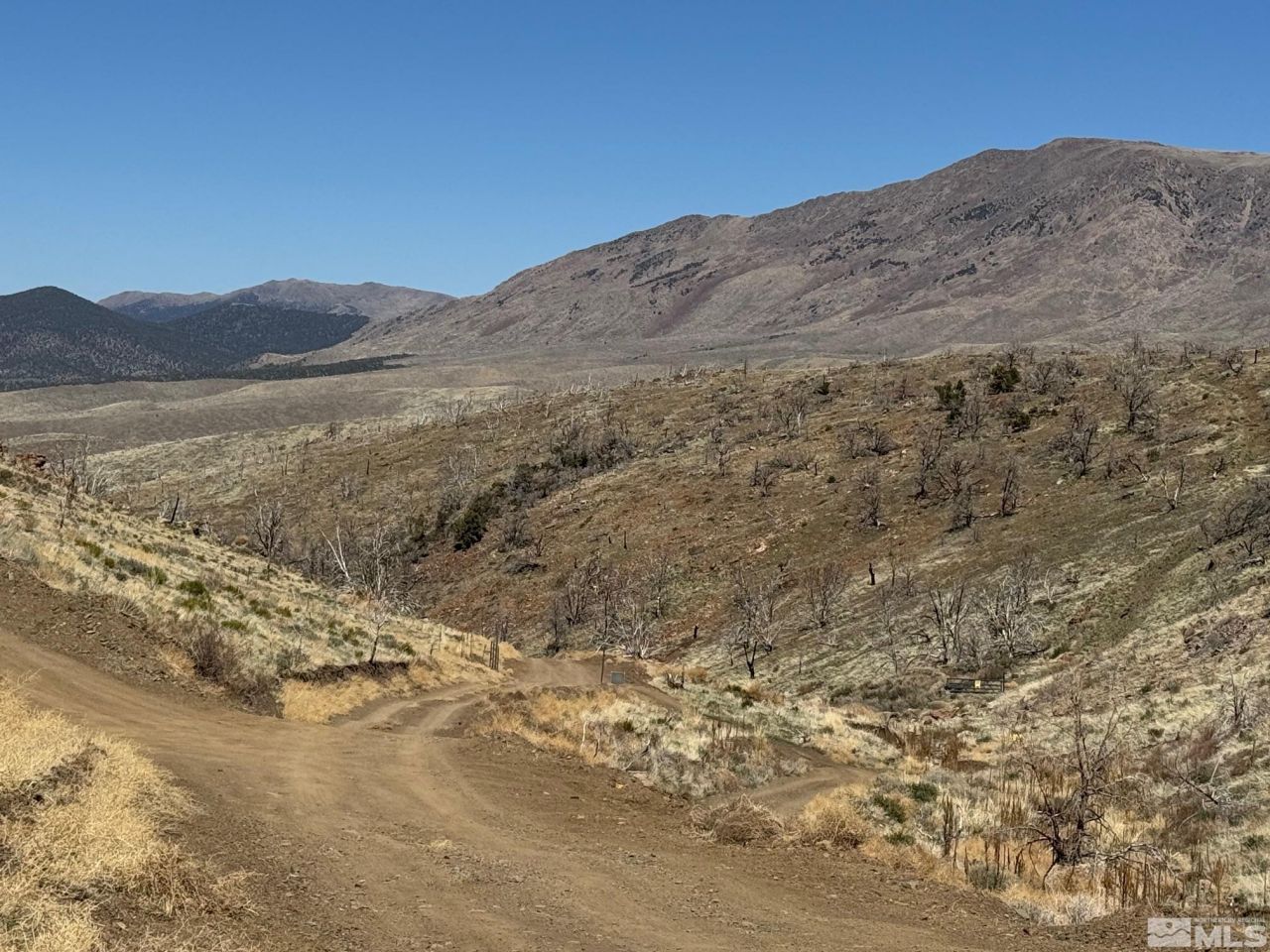 Tbd Parcels At Pine Nut Creek Area, Gardnerville, NV 89410 Photo