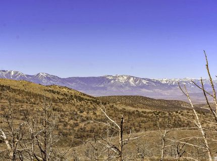 Tbd Parcels At Pine Nut Creek Area, Gardnerville, NV 89410 Photo