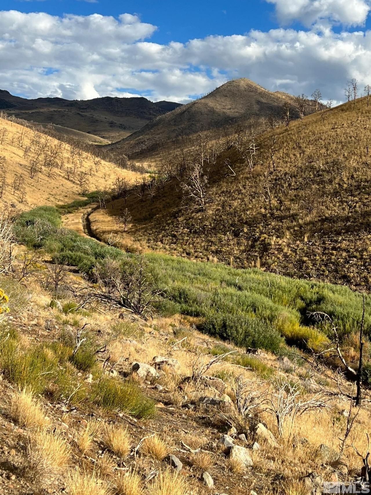 Tbd Parcels At Pine Nut Creek Area, Gardnerville, NV 89410 Photo