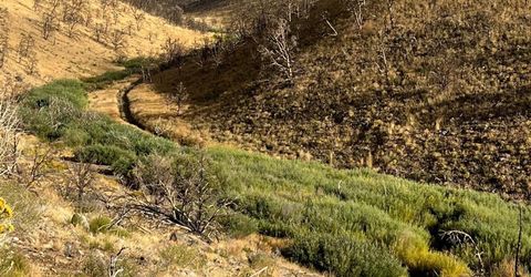 Tbd Parcels At Pine Nut Creek Area, Gardnerville, NV 89410 Photo