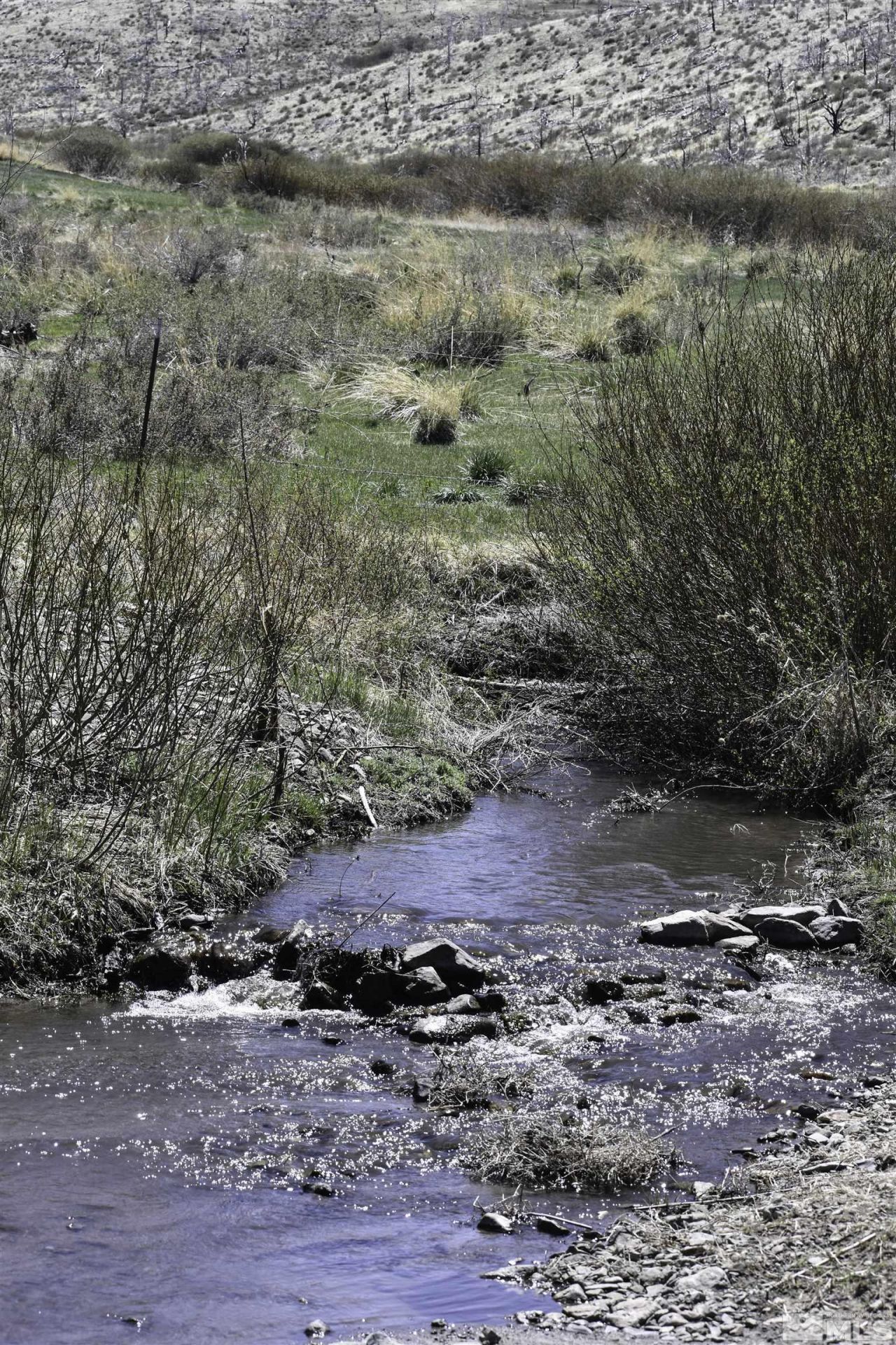 Tbd Parcels At Pine Nut Creek Area, Gardnerville, NV 89410 Photo