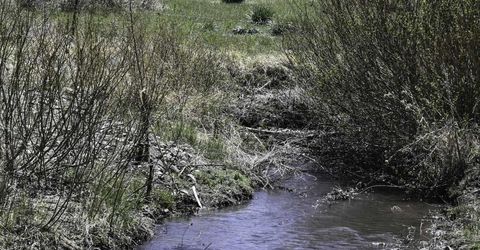 Tbd Parcels At Pine Nut Creek Area, Gardnerville, NV 89410 Photo