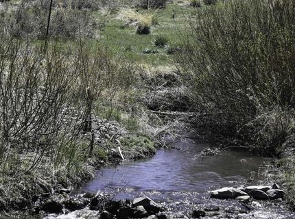 Tbd Parcels At Pine Nut Creek Area, Gardnerville, NV 89410 Photo