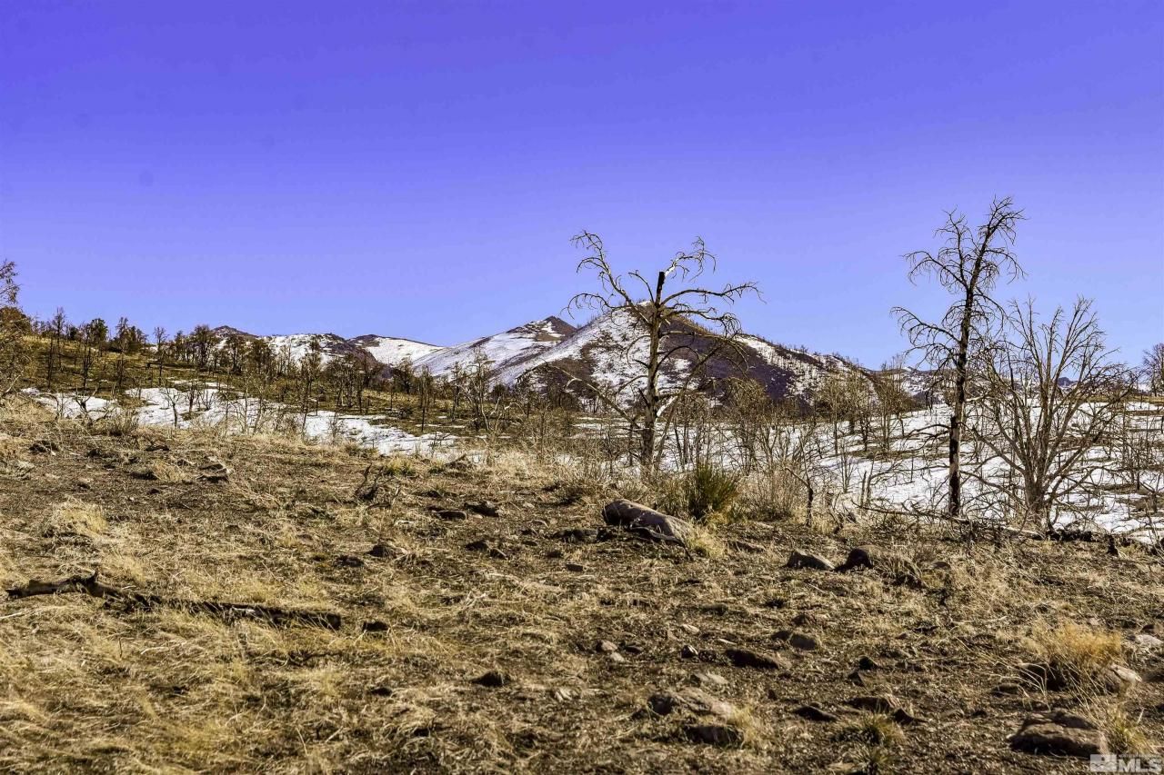 Tbd Parcels At Pine Nut Creek Area, Gardnerville, NV 89410 Photo