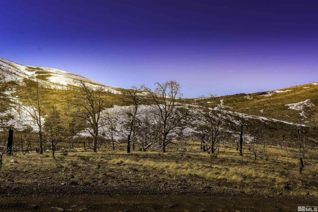 Tbd Parcels At Pine Nut Creek Area, Gardnerville, NV 89410 Photo