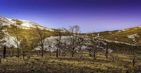 Tbd Parcels At Pine Nut Creek Area, Gardnerville, NV 89410 Photo