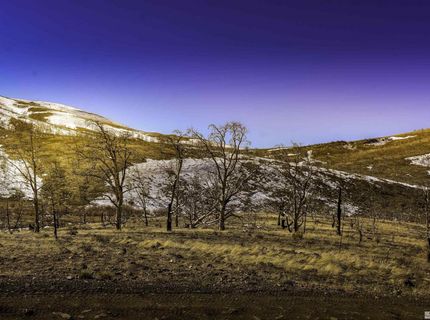 Tbd Parcels At Pine Nut Creek Area, Gardnerville, NV 89410 Photo