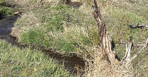 Tbd Parcels At Pine Nut Creek Area, Gardnerville, NV 89410 Photo