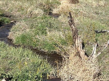 Tbd Parcels At Pine Nut Creek Area, Gardnerville, NV 89410 Photo